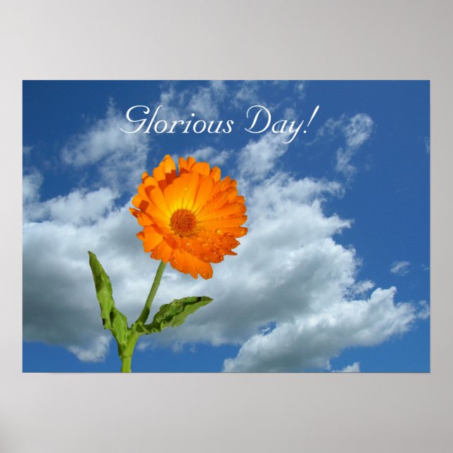 Poster - Glorious day (Vorne)