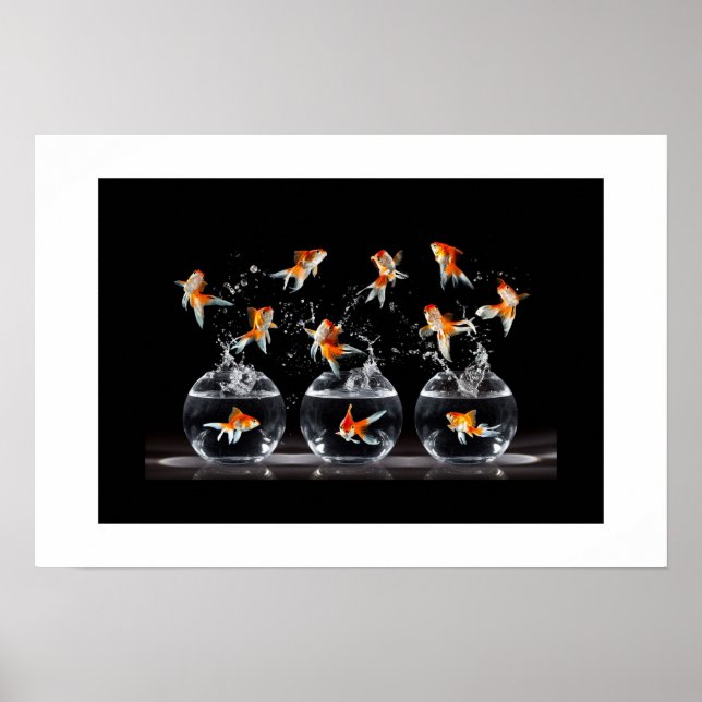 Poster-Goldfish Poster (Vorne)