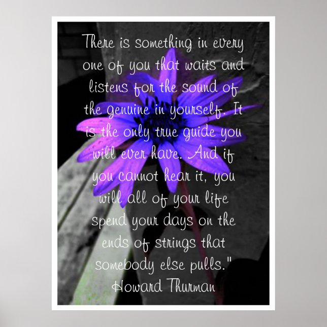 Poster, große Sonnenblume mit Regentropfen Inspira Poster (Vorne)