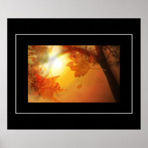 Poster-Herbstlaub Poster