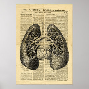 Poster Human Lungs Antique Anatomie auf Zeitung