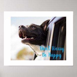 Poster-Hund-Gesicht aus Autofenster Keine Sorge Poster