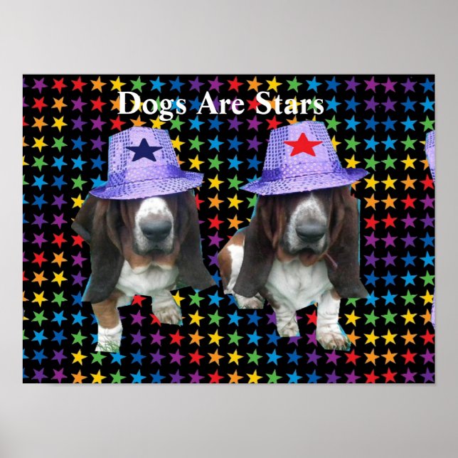 Poster Hunde sind Sterne (Vorne)
