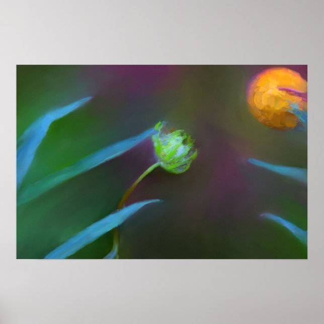 Poster - Kleine und Friedliche Blume (Vorne)
