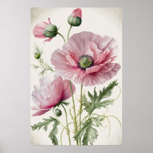 Poster Kunstprint rosa Mohnblumen