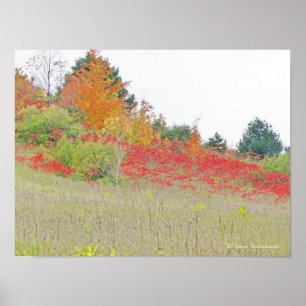 POSTER/LEINWAND GLOSS/FOTOG /"ROTES KARPET" POSTER