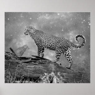 Poster/Leopards im Weltraum Poster