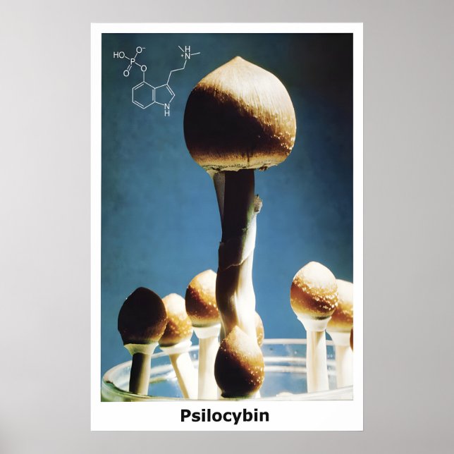 Poster Magic Mushrooms Psilocybin Chemische Formel (Vorne)