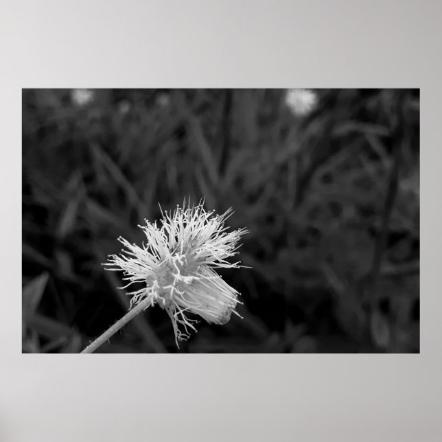 Poster Maria fecha a porta  - danificada (Vorne)