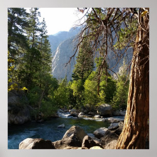 Poster mit Bach, Wald und Bergen