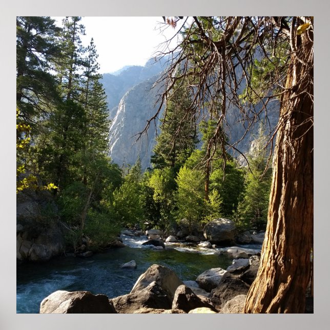 Poster mit Bach, Wald und Bergen (Vorne)