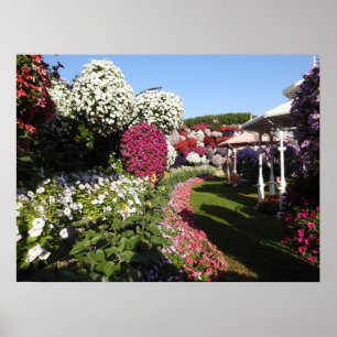 Poster mit bunten Blättern