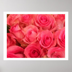 Poster mit rosa Rosen Foto