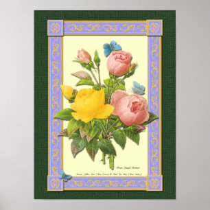 Poster mit rosa und gelben botanischen Rosen