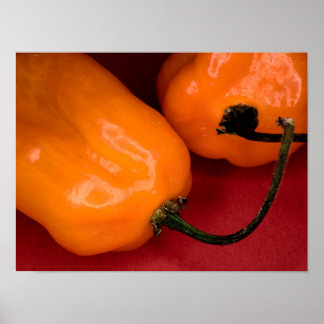 Poster mit scharfen Habanero-Peppern