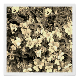 Poster mit schwarzen und weißen Blumen