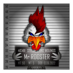 Poster Mr Rooster