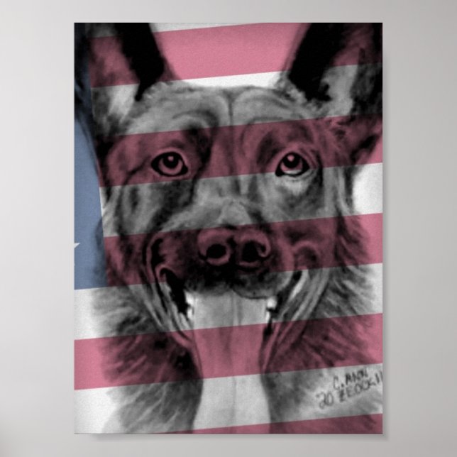 Poster of K9 Dutch Shepherd Original Artwork (Vorne)