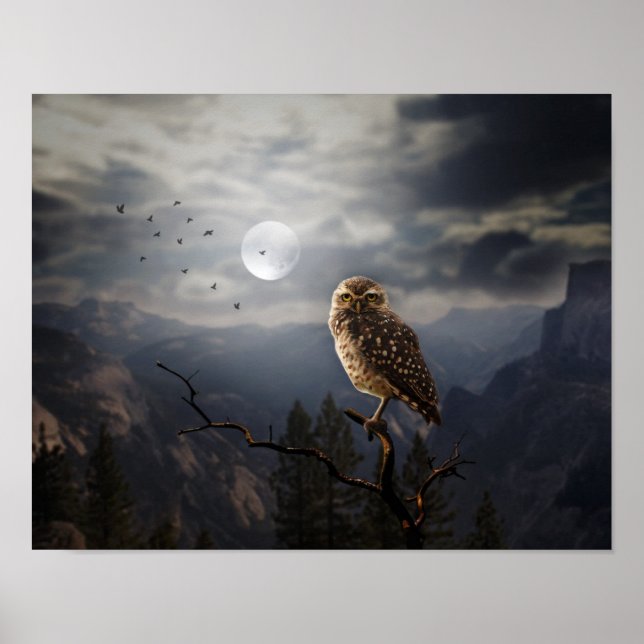 Poster-Owl Poster (Vorne)
