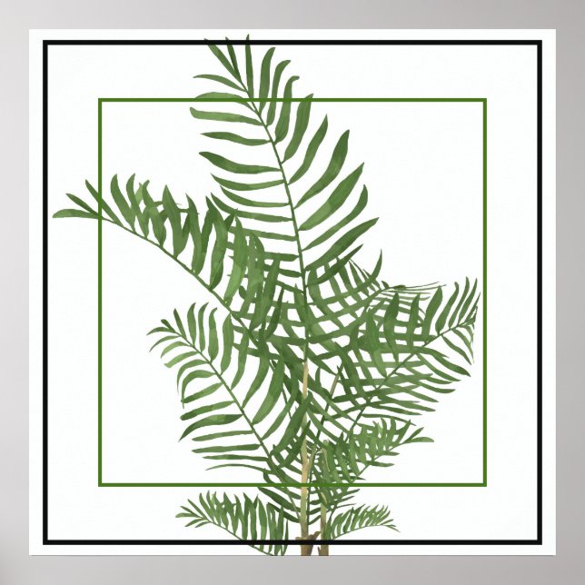 Poster-Palm 24" x 24" Poster (Vorne)