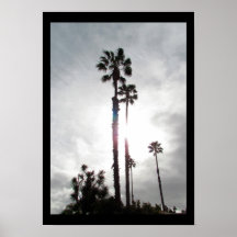 Poster - Palm Tree Silhouette
