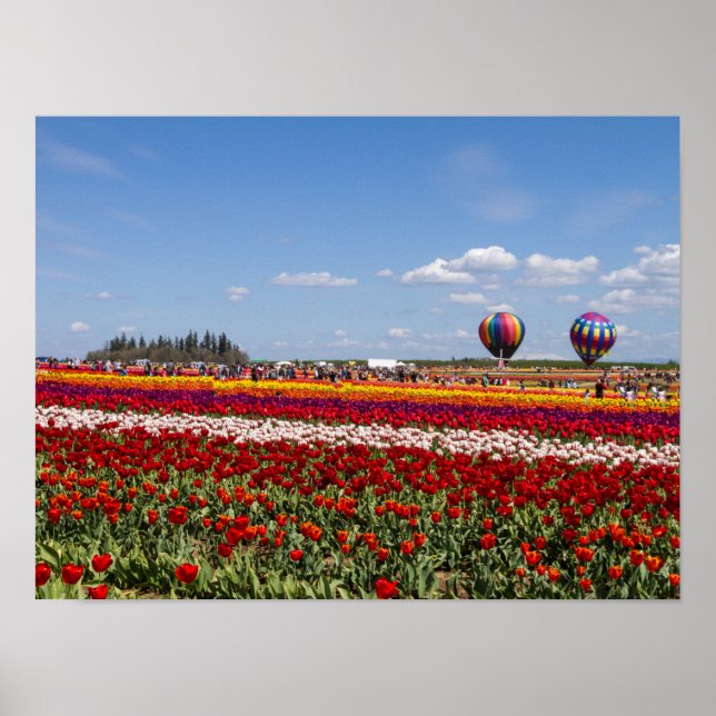 Poster Paper (Matte) (Vorne)