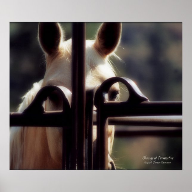 Poster, Perspektivwechsel, Pferd, Bauernhof, Rodeo Poster (Vorne)