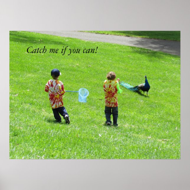 Poster - Pfauenjäger (Vorne)