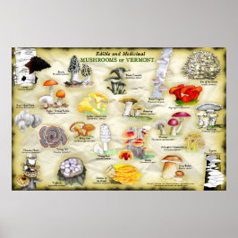 Poster-Pilze aus Vermont Poster