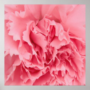 Poster Pink Carup Nah
