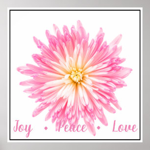 Poster-Pink Dahlia Poster
