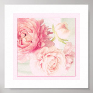 Poster Pink Peonies