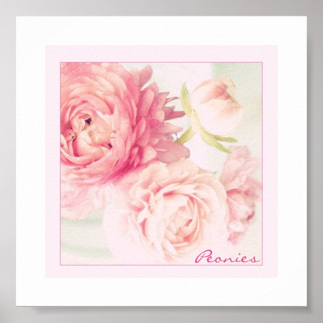 Poster Pink Peonies (Vorne)