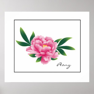 Poster-Pink-Peony Poster