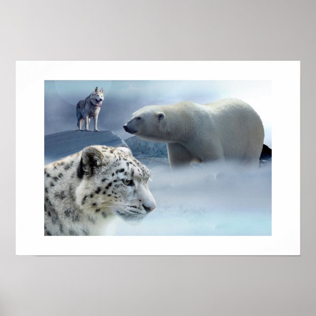 Poster-Polar-Bär-Husky-Snow Leopard Poster (Vorne)