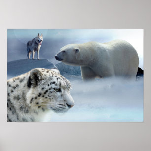 Poster-Polar-Bär-Husky-Snow Leopard Poster