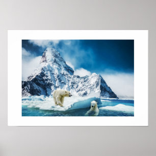 Poster-Polar-Bären Poster