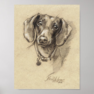 Poster - Porträtgröße der Dackel 8,5" x 11"