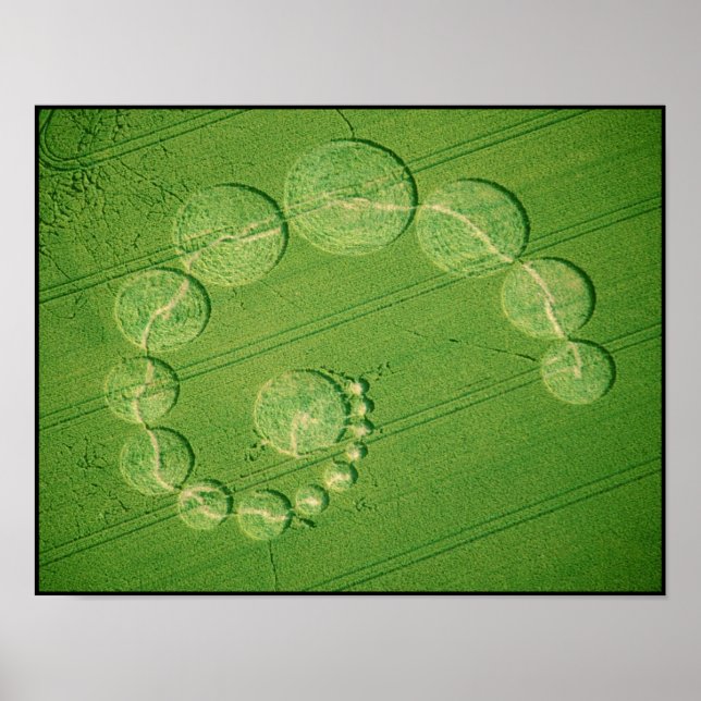 Poster Print: Crop Circle - Single Julia (Vorne)