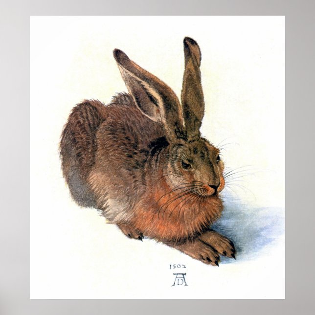 Poster/Print: Das Kaninchen Poster (Vorne)