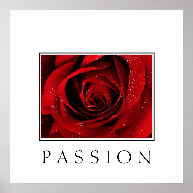 Poster-Rote Rose-Passion Poster (Vorne)