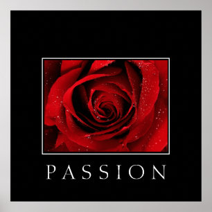 Poster-Rote Rose-Passion Poster
