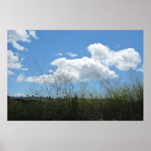 Poster: Senf in den Wolken Poster