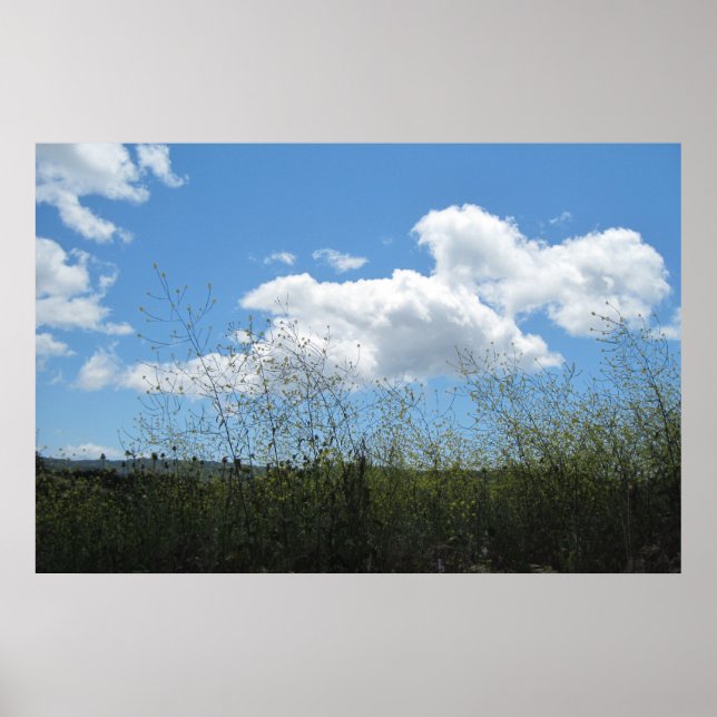 Poster: Senf in den Wolken Poster (Vorne)