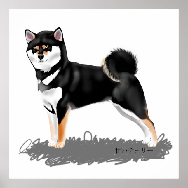 Poster Shiba inu (Vorne)