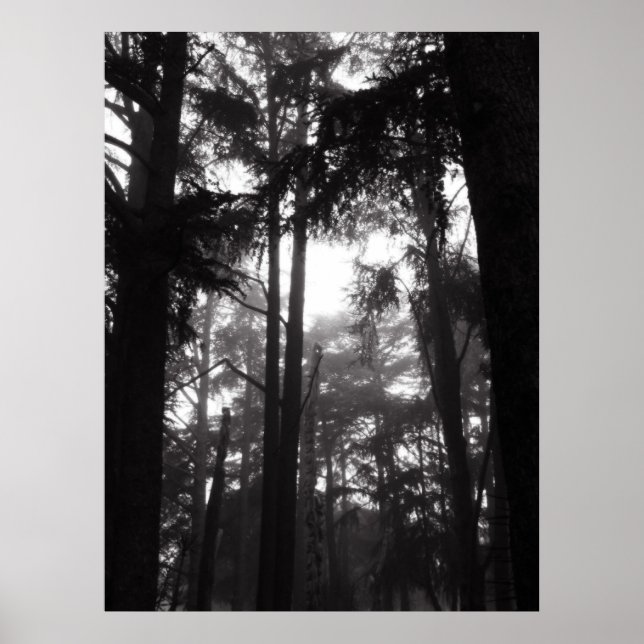 Poster - Silver Silence (Vorne)