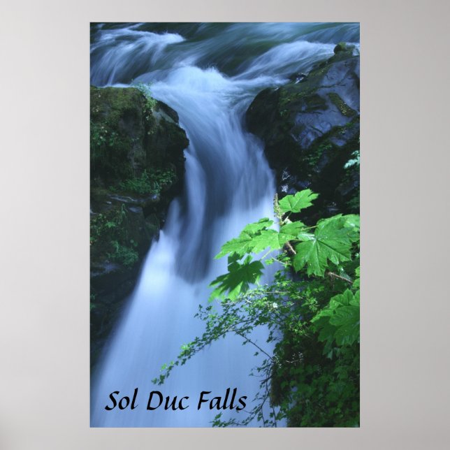 Poster: Sol Duc Falls Poster (Vorne)