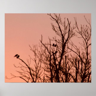 Poster - Sonnenaufgang