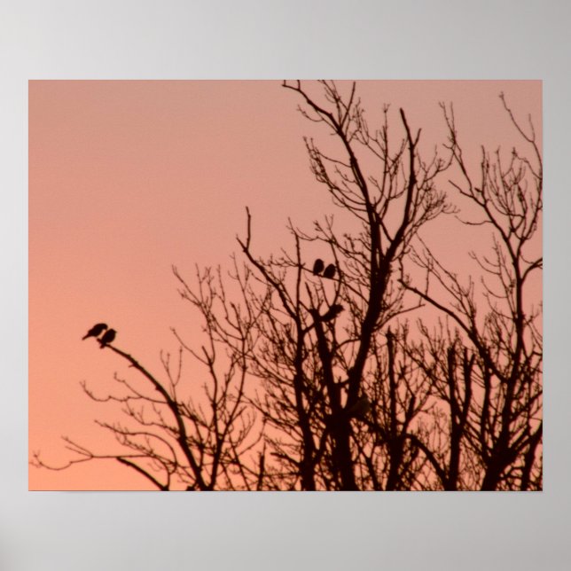 Poster - Sonnenaufgang (Vorne)