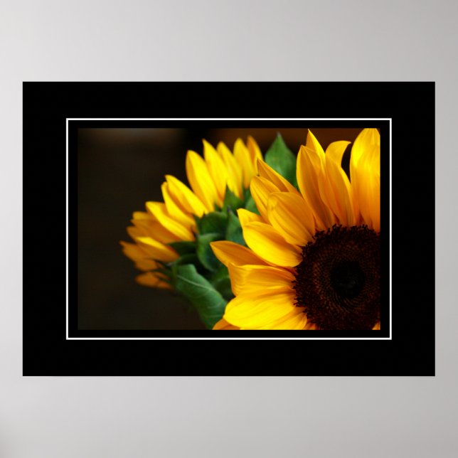 Poster Sonnenblumen (Vorne)